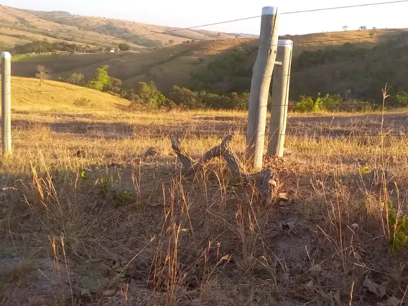 Fazenda em Cocalzinho de Goiás/Goiás — Ref 7J1XV7 — Imagem 29