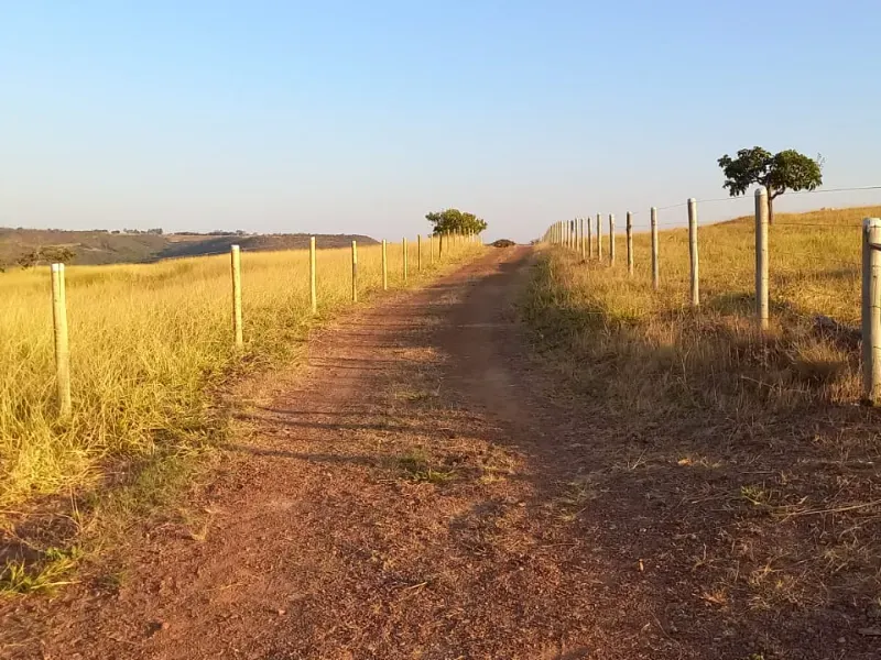 Fazenda em Cocalzinho de Goiás/Goiás — Ref 7J1XV7 — Imagem 30