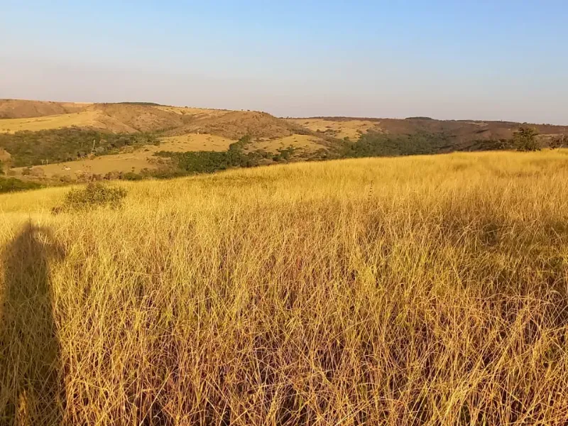Fazenda em Cocalzinho de Goiás/Goiás — Ref 7J1XV7 — Imagem 31