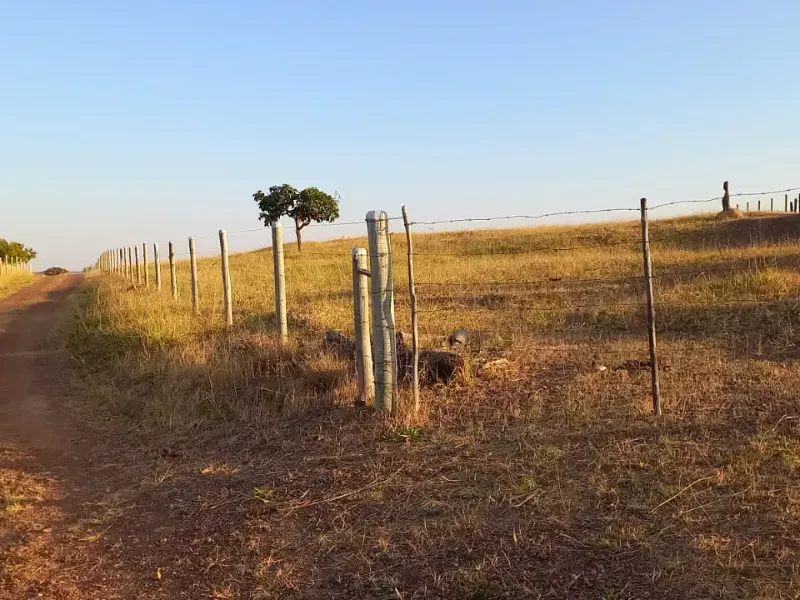 Fazenda em Cocalzinho de Goiás/Goiás — Ref 7J1XV7 — Imagem 32