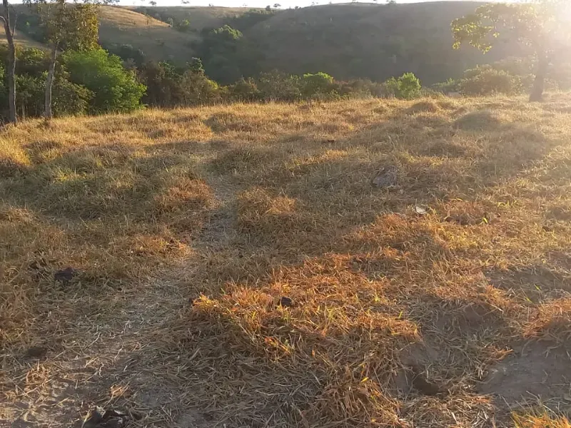 Fazenda em Cocalzinho de Goiás/Goiás — Ref 7J1XV7 — Imagem 34