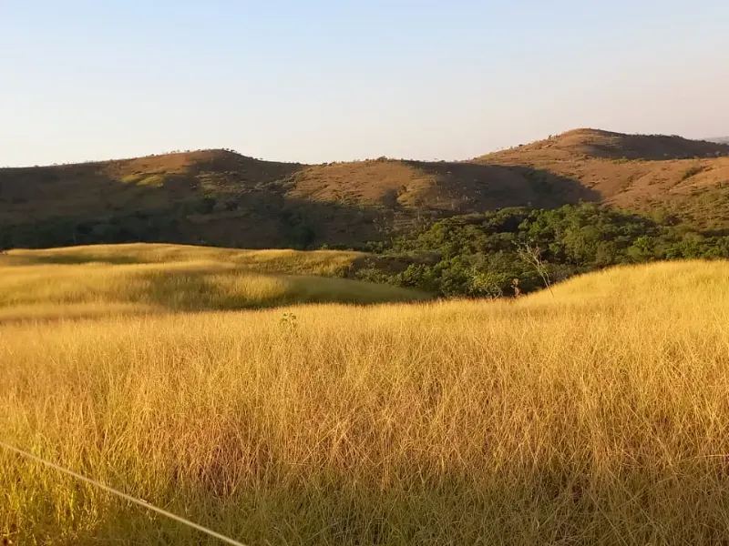 Fazenda em Cocalzinho de Goiás/Goiás — Ref 7J1XV7 — Imagem 36