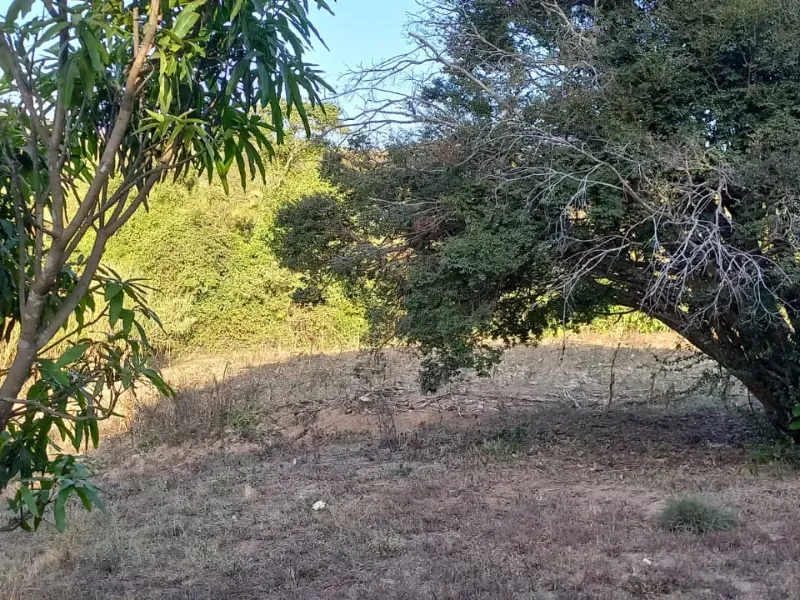 Fazenda em Cocalzinho de Goiás/Goiás — Ref 7J1XV7 — Imagem 37