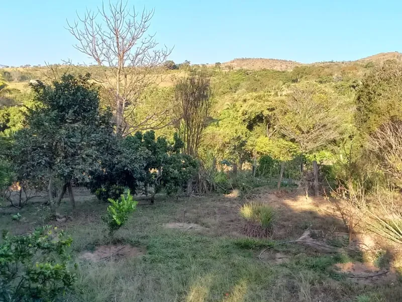 Fazenda em Cocalzinho de Goiás/Goiás — Ref 7J1XV7 — Imagem 38