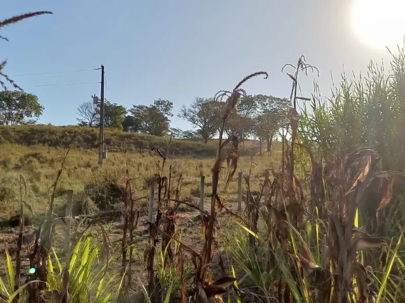 Fazenda em Cocalzinho de Goiás/Goiás — Ref 7J1XV7 — Imagem 40