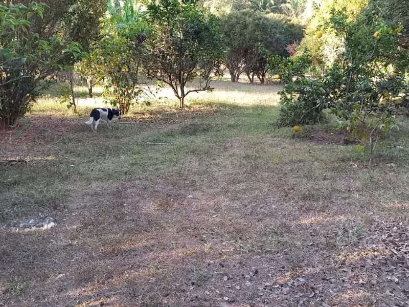 Fazenda em Cocalzinho de Goiás/Goiás — Ref 7J1XV7 — Imagem 42
