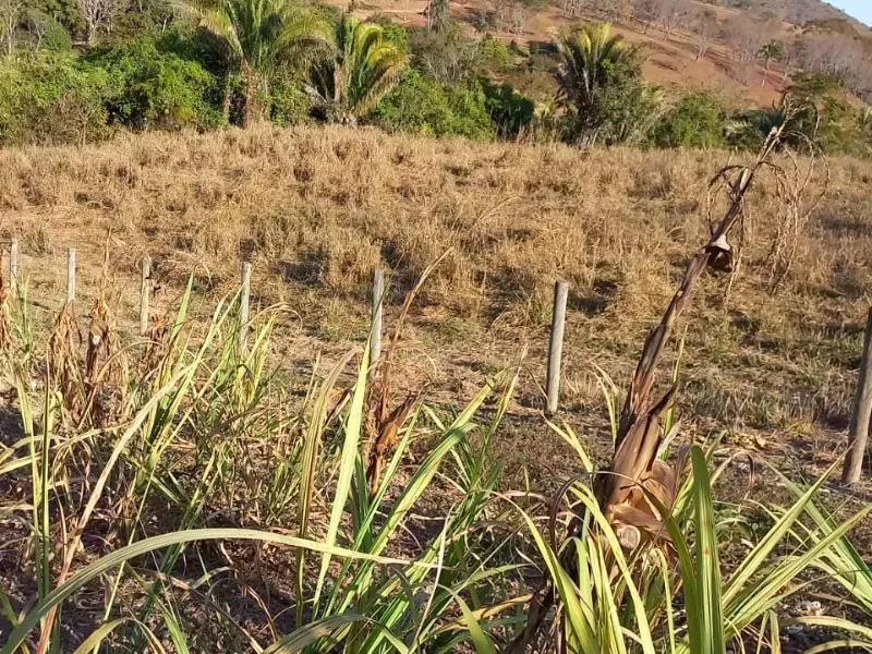 Fazenda em Cocalzinho de Goiás/Goiás — Ref 7J1XV7 — Imagem 43