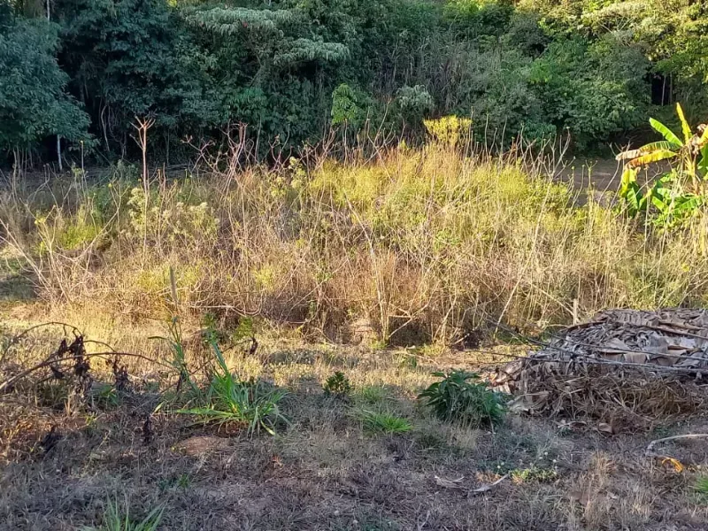 Fazenda em Cocalzinho de Goiás/Goiás — Ref 7J1XV7 — Imagem 44