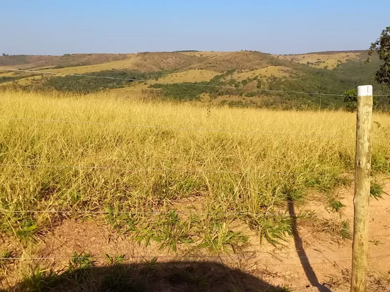 Fazenda em Cocalzinho de Goiás/Goiás — Ref 7J1XV7 — Imagem 47