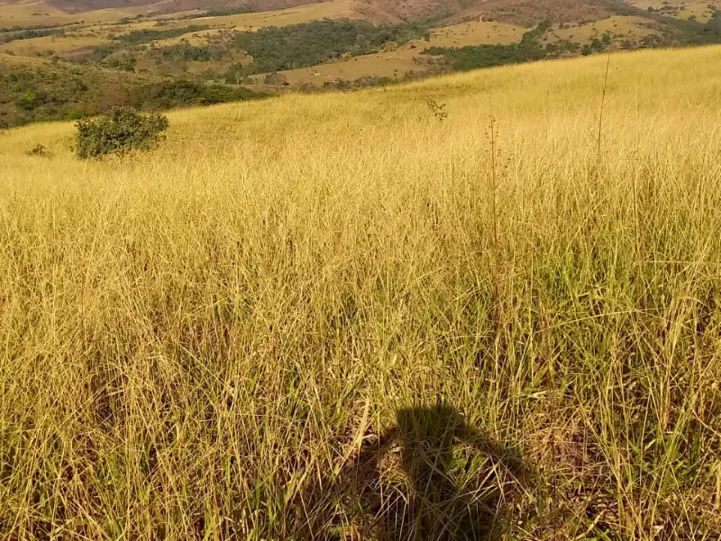Fazenda em Cocalzinho de Goiás/Goiás — Ref 7J1XV7 — Imagem 49