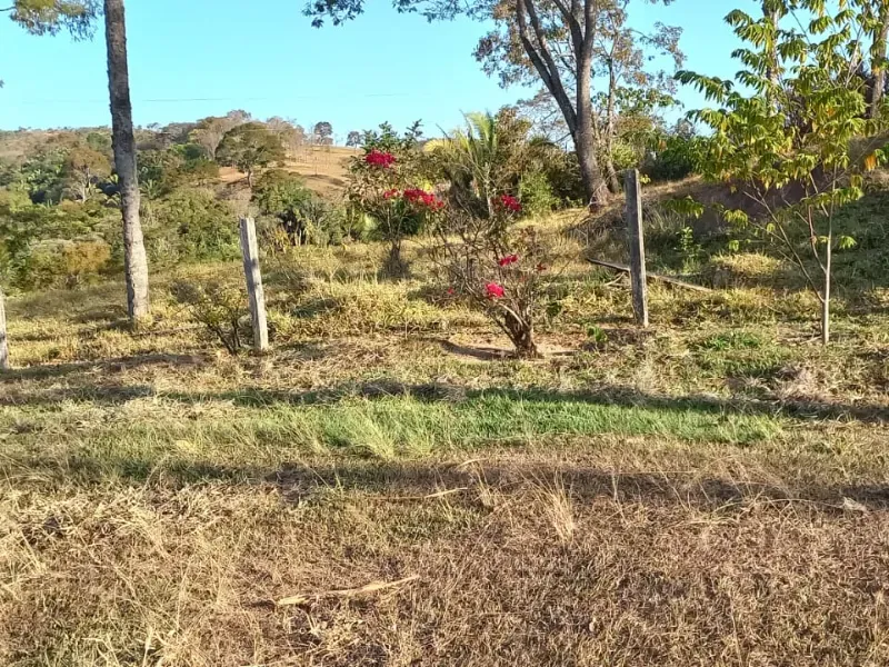 Fazenda em Cocalzinho de Goiás/Goiás — Ref 7J1XV7 — Imagem 50