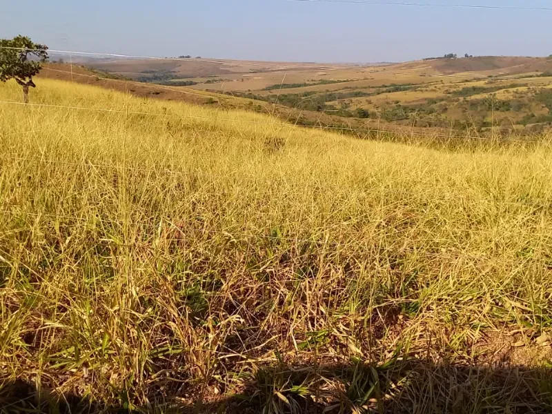 Fazenda em Cocalzinho de Goiás/Goiás — Ref 7J1XV7 — Imagem 51