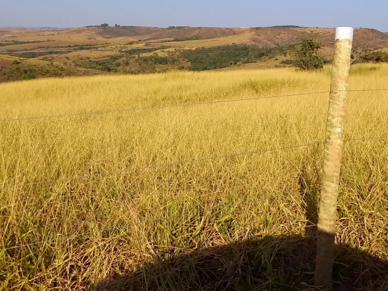 Fazenda em Cocalzinho de Goiás/Goiás — Ref 7J1XV7 — Imagem 52