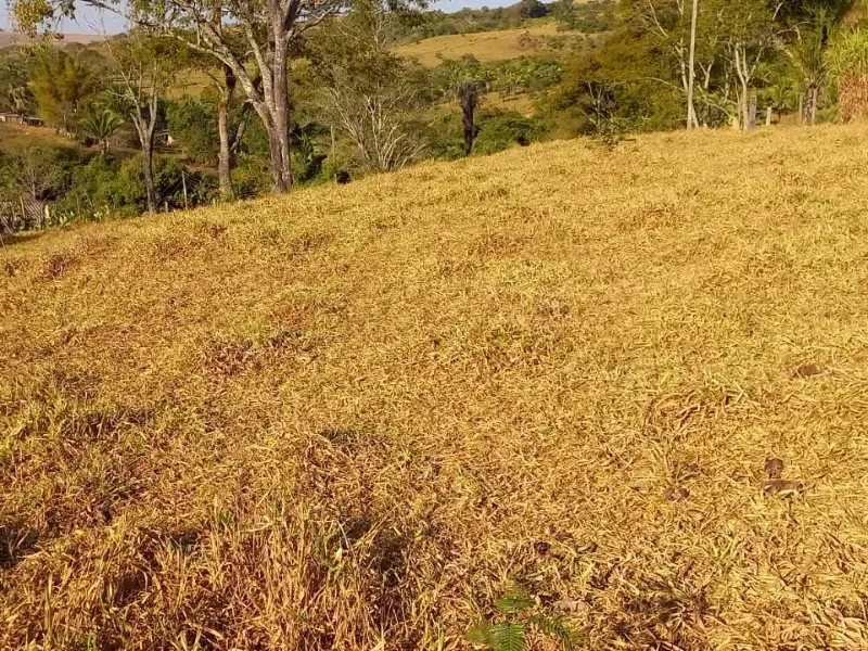 Fazenda em Cocalzinho de Goiás/Goiás — Ref 7J1XV7 — Imagem 56