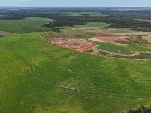 Fazenda em Colinas do Tocantins/Tocantins — Ref WOFQXT — Imagem 8
