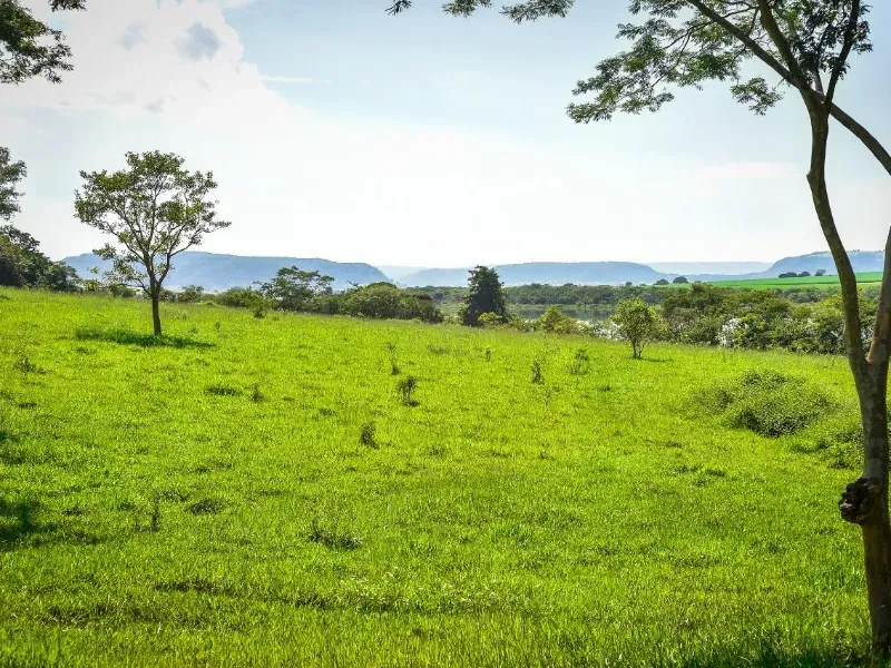Fazenda em Conquista/Minas Gerais — Ref 9ANWPZ — Imagem 4