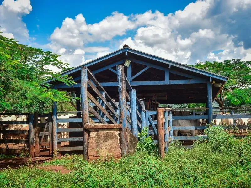 Fazenda em Conquista/Minas Gerais — Ref 9ANWPZ — Imagem 7