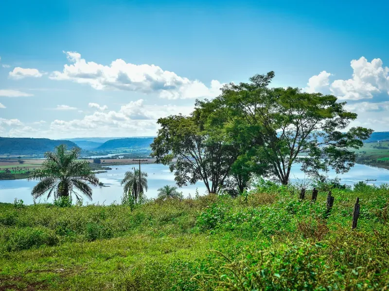 Fazenda em Conquista/Minas Gerais — Ref 9ANWPZ — Imagem 9