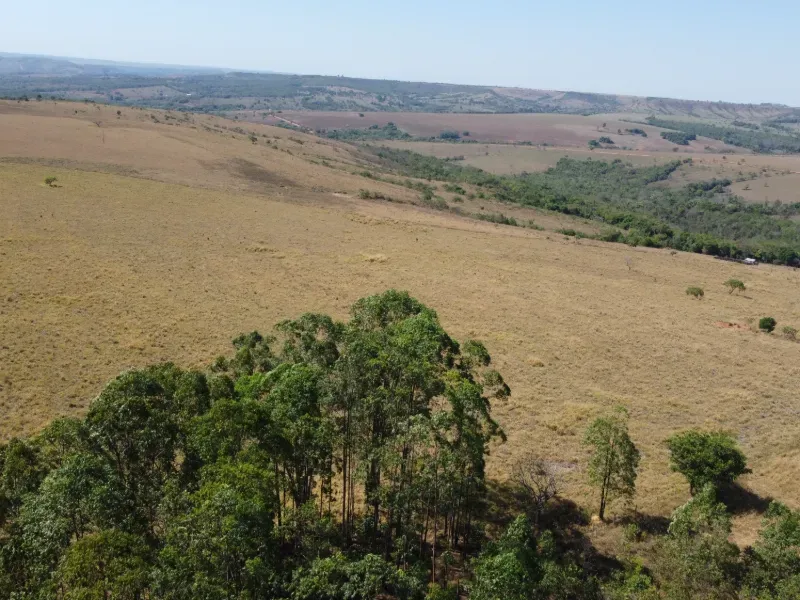 Fazenda em Corumbá de Goiás/Goiás — Ref IRX4F4 — Imagem 12