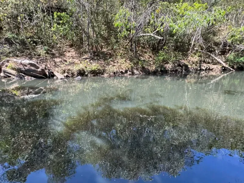 Fazenda em Corumbá de Goiás/Goiás — Ref IRX4F4 — Imagem 37