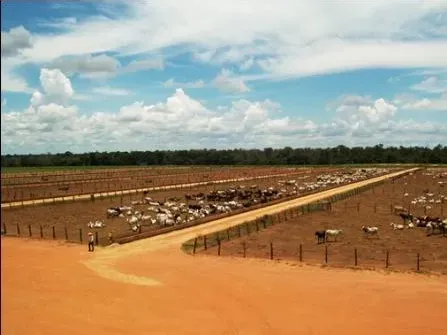 Imóvel rural em Corumbá/Mato Grosso do Sul — Ref 869JSY1
