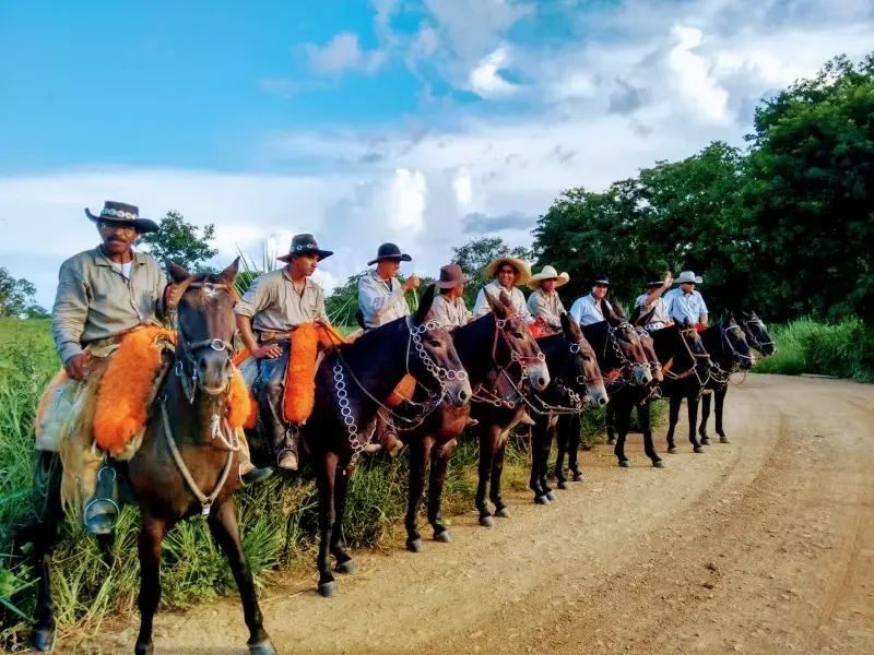 Fazenda em Corumbá/Mato Grosso do Sul — Ref 869JSY — Imagem 9