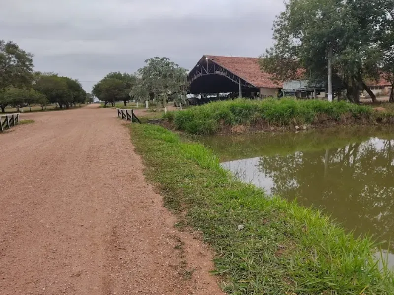Fazenda em Corumbá/Mato Grosso do Sul — Ref 869JSY — Imagem 19
