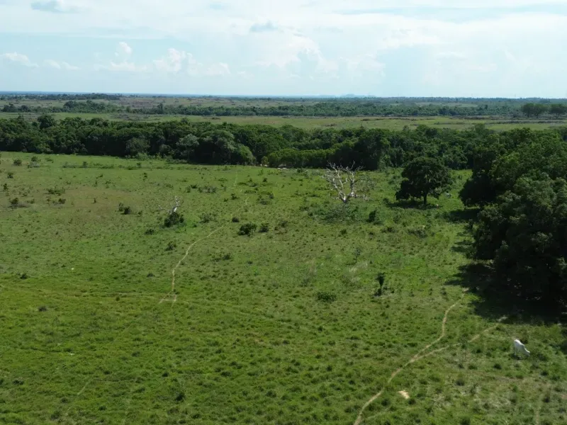 Fazenda em Couto Magalhães/Tocantins — Ref 0EXJEE — Imagem 2