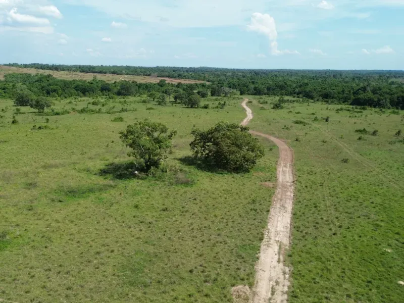 Fazenda em Couto Magalhães/Tocantins — Ref 0EXJEE — Imagem 5