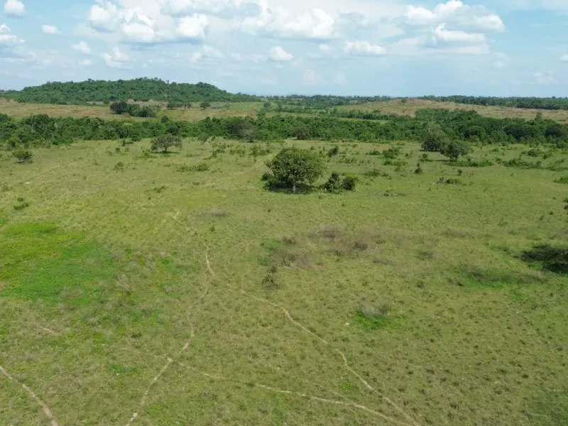 Fazenda em Couto Magalhães/Tocantins — Ref 0EXJEE — Imagem 6