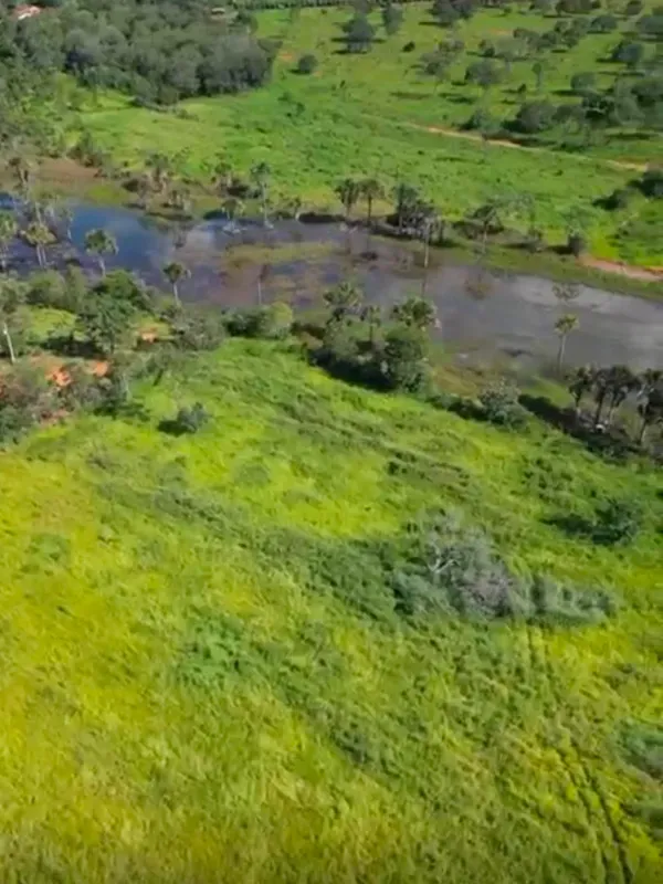 Fazenda em Curvelo/Minas Gerais — Ref K5XDIE — Imagem 5