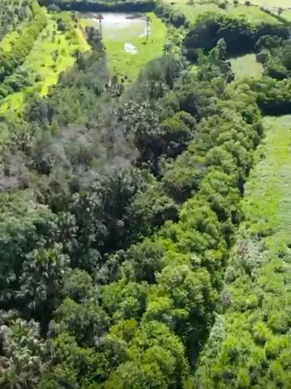 Fazenda em Curvelo/Minas Gerais — Ref K5XDIE — Imagem 6