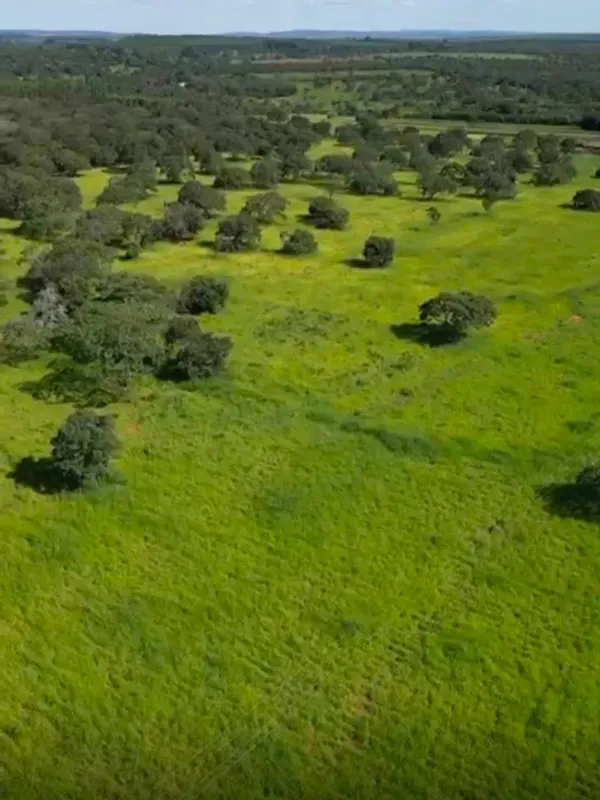 Fazenda em Curvelo/Minas Gerais — Ref K5XDIE — Imagem 8