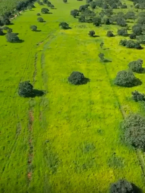 Fazenda em Curvelo/Minas Gerais — Ref K5XDIE — Imagem 9