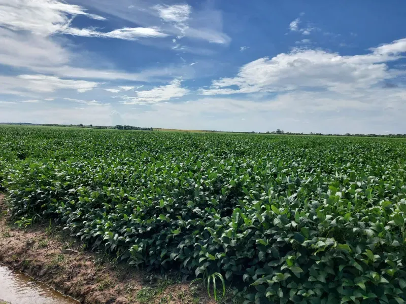 Fazenda em Divinópolis do Tocantins/Tocantins — Ref KSBG47 — Imagem 7