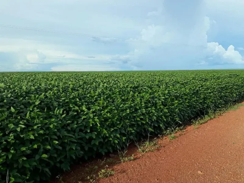 Fazenda em Divinópolis do Tocantins/Tocantins — Ref KSBG47 — Imagem 4