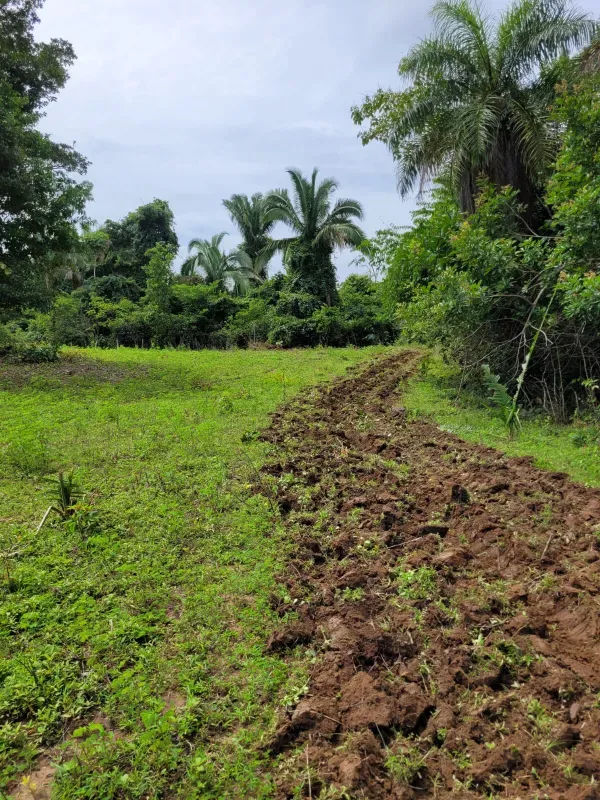 Fazenda em Dois Irmãos do Tocantins/Tocantins — Ref QM9BWY — Imagem 2