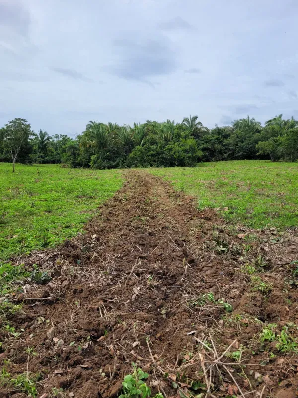 Fazenda em Dois Irmãos do Tocantins/Tocantins — Ref QM9BWY — Imagem 3