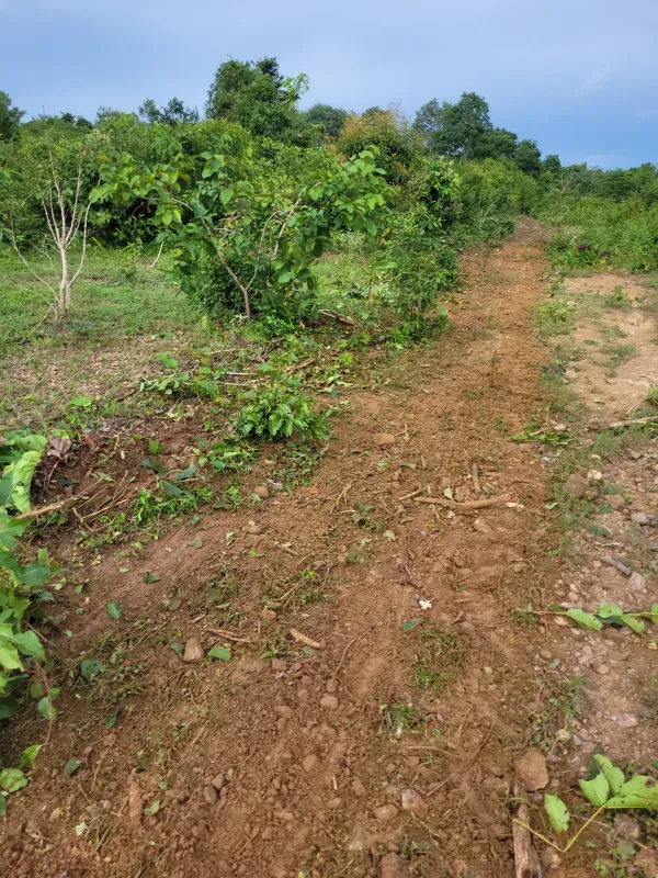 Fazenda em Dois Irmãos do Tocantins/Tocantins — Ref QM9BWY — Imagem 4