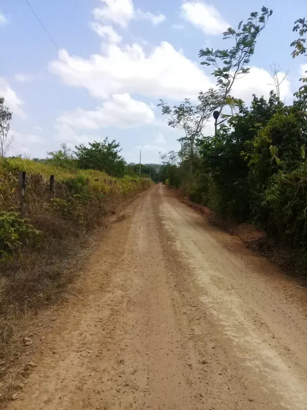 Fazenda em Dom Eliseu/Pará — Ref 3TQQL5 — Imagem 3
