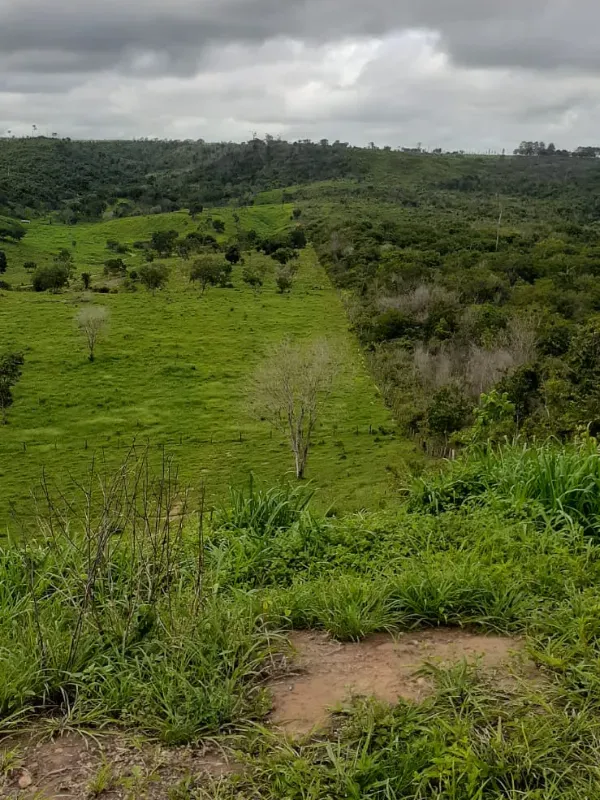Imóvel rural em Dom Eliseu/Pará — Ref 3TQQL51