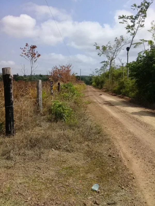 Fazenda em Dom Eliseu/Pará — Ref 3TQQL5 — Imagem 5