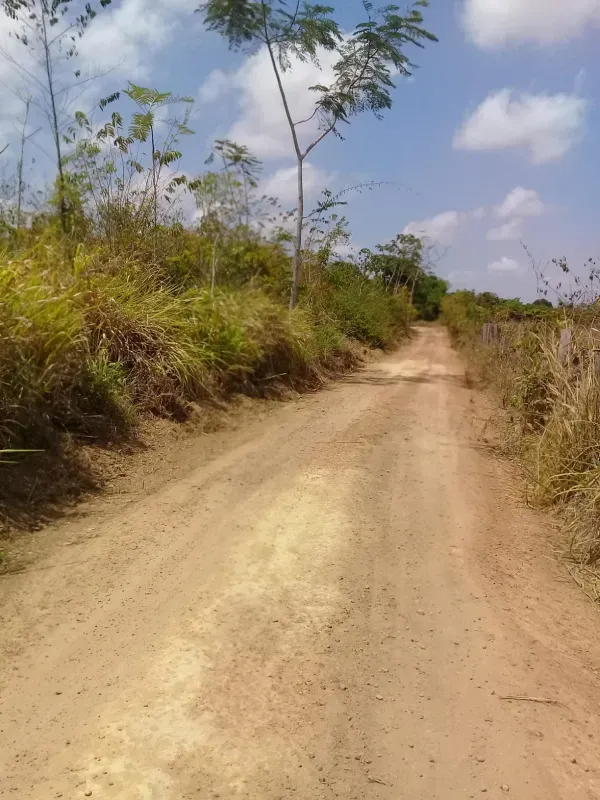 Fazenda em Dom Eliseu/Pará — Ref 3TQQL5 — Imagem 6