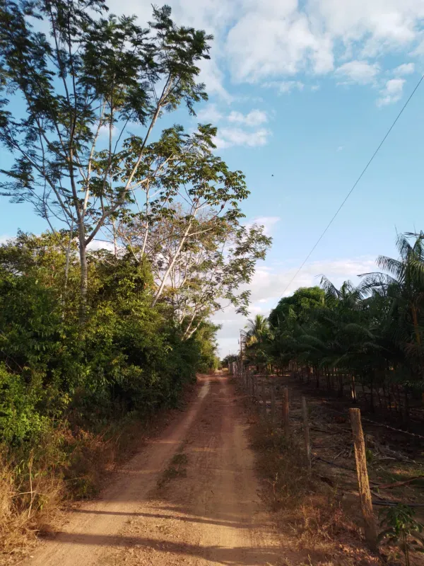 Fazenda em Dom Eliseu/Pará — Ref 3TQQL5 — Imagem 7