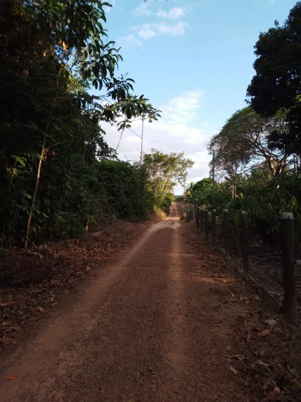 Fazenda em Dom Eliseu/Pará — Ref 3TQQL5 — Imagem 8