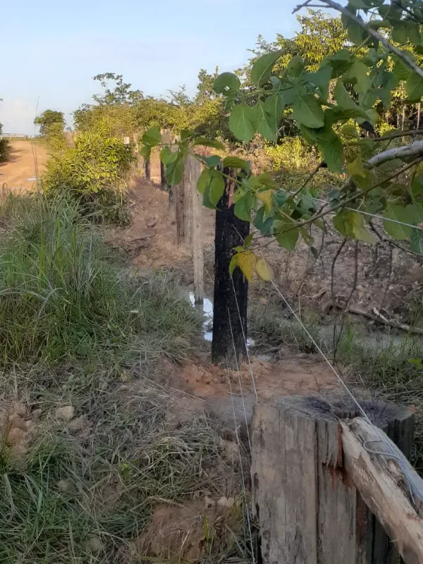 Fazenda em Dom Eliseu/Pará — Ref 3TQQL5 — Imagem 10