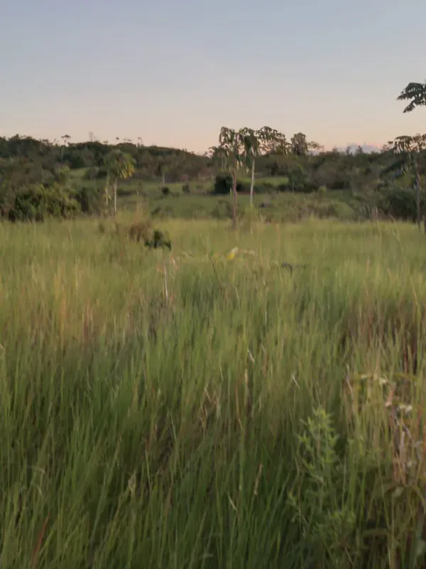 Fazenda em Dom Eliseu/Pará — Ref 3TQQL5 — Imagem 15
