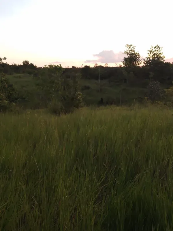Fazenda em Dom Eliseu/Pará — Ref 3TQQL5 — Imagem 19