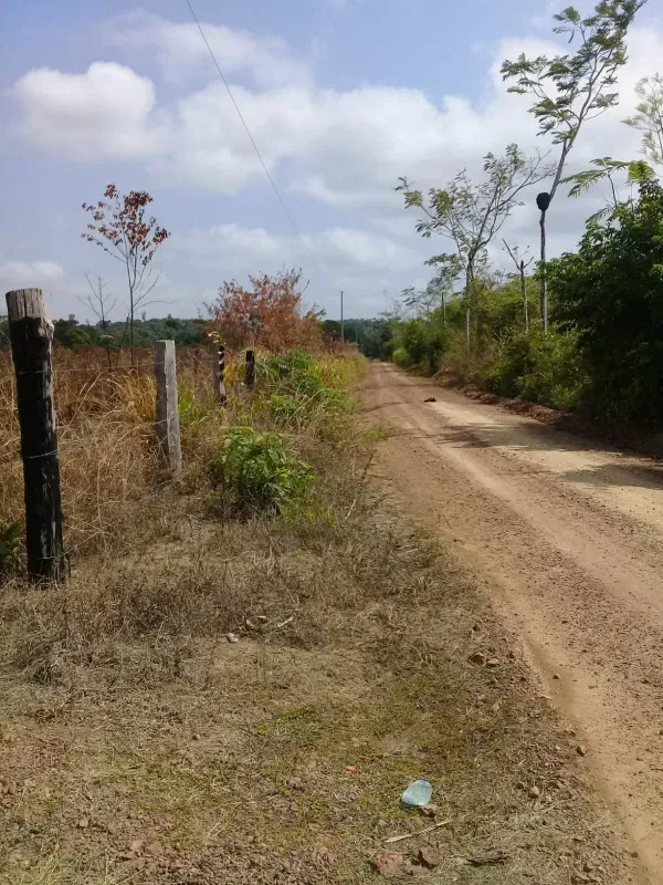 Fazenda em Dom Eliseu/Pará — Ref 3TQQL5 — Imagem 20