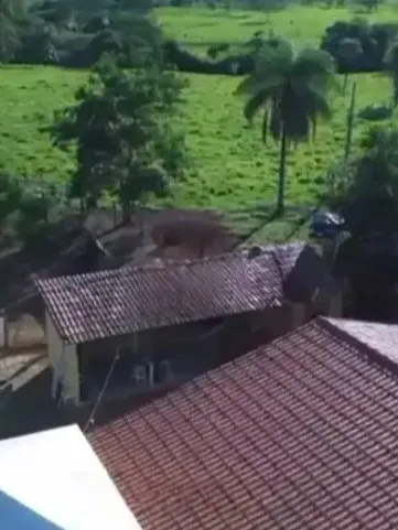 Fazenda em Formosa/Goiás — Ref JF80DX — Imagem 5